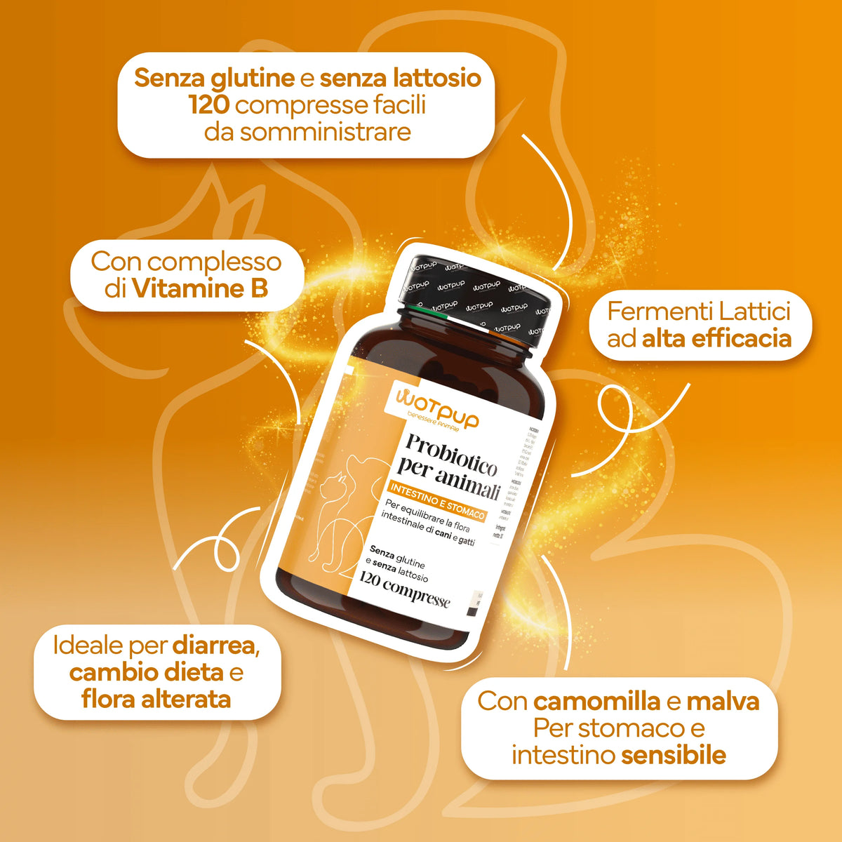 Ganzheitliche Darmpflege für vitale Haustiere