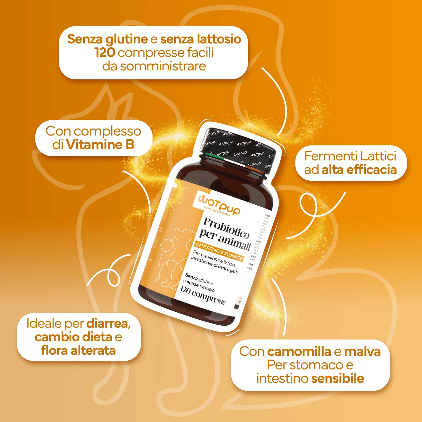 Ganzheitliche Darmpflege für vitale Haustiere