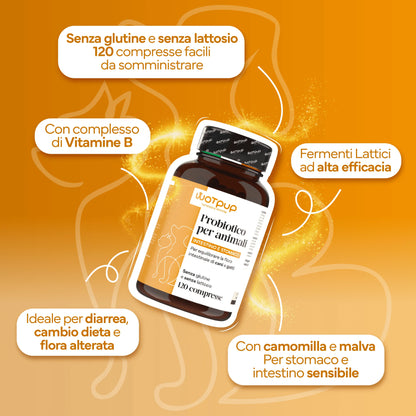 Ganzheitliche Darmpflege für vitale Haustiere