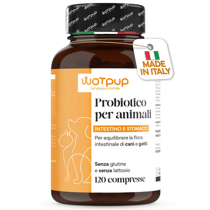 Ganzheitliche Darmpflege für vitale Haustiere