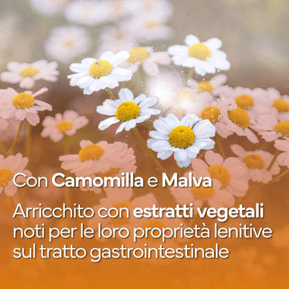 Ganzheitliche Darmpflege für vitale Haustiere