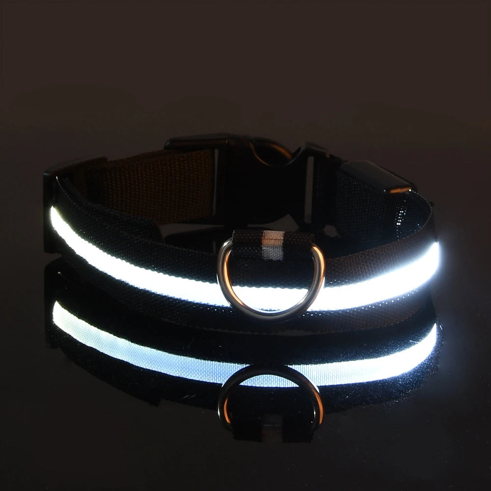 Premium LED-Sicherheitshalsband für maximale Sichtbarkeit