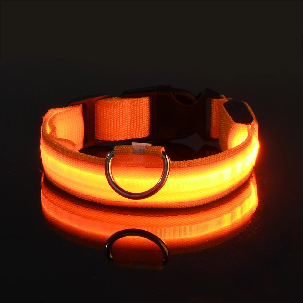 Premium LED-Sicherheitshalsband für maximale Sichtbarkeit